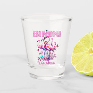 Verre A Shot Cadeau souvenir Bahamas : Flamant rose Bimini Baha