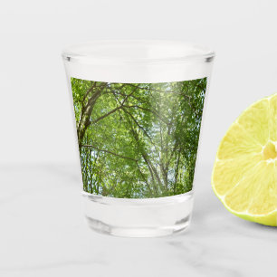 Verre A Shot Canopée du printemps Feuille Green Nature Scene