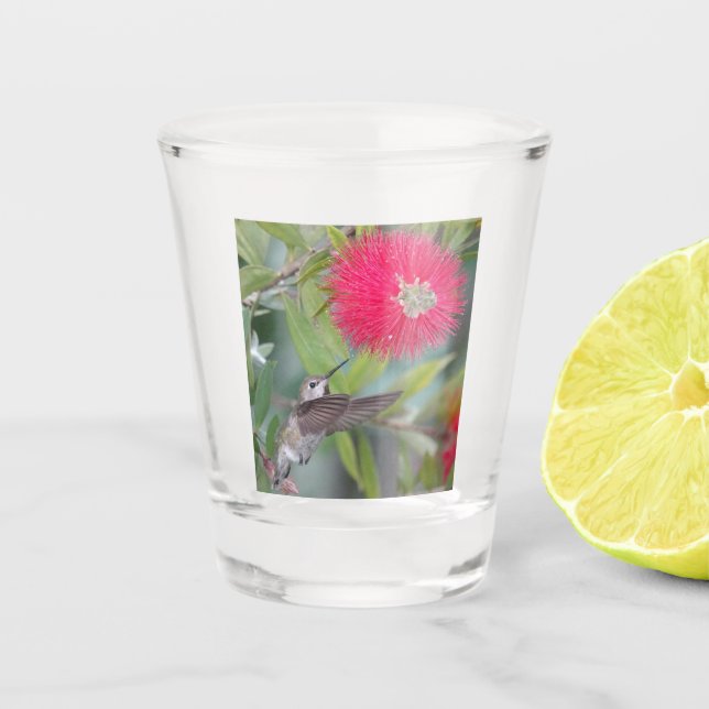 Verre A Shot Colibri à la brosse à fleurs (Devant)