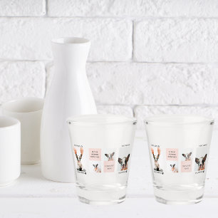 Verre A Shot Collage photos de chiens Le chien est mes valent