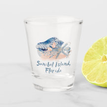Coquillages de l'île de Sanibel