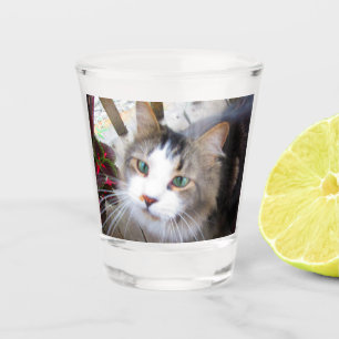 Verre A Shot Créez facilement votre propre photo Ajouter photo 