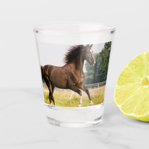 Verre A Shot Créez votre propre photo de cheval de compagnie pe