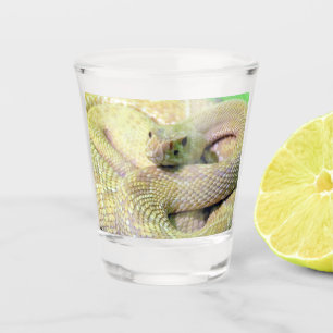 Verre A Shot Crotale albinique Vitre de tir