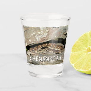 Verre A Shot Crotale dans le parc national de Shenandoah