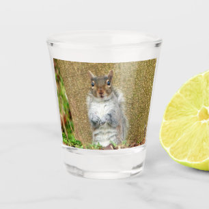 Verre A Shot Cute écureuil