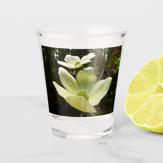 Verre A Shot Dogwoods et Redwoods (Devant)