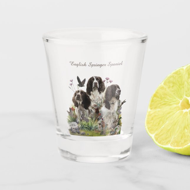 Verre A Shot Espagnol Springer anglais, Art (Devant)