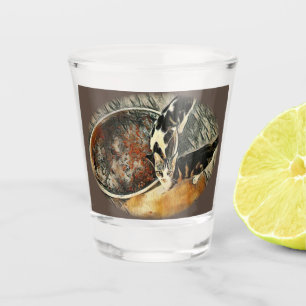 Verre A Shot Feeding Time !