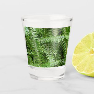 Verre A Shot Fermer Fronds I Green Nature