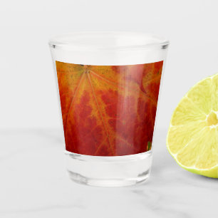 Verre A Shot Feuille d'érable rouge Abstraite Automne Photograp