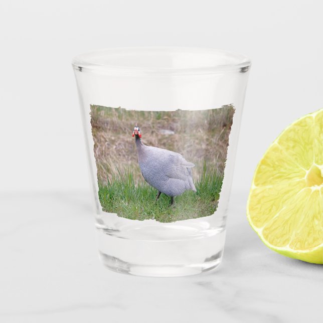 Verre A Shot Guinée Fowl (Devant)