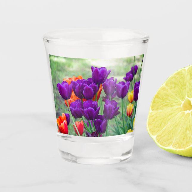 Verre A Shot Jigsaw tulipes violettes foncées (Devant)