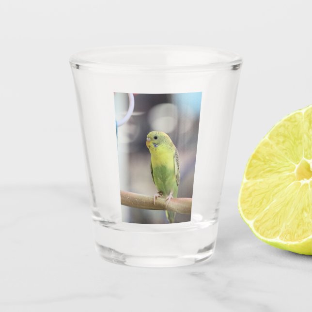 Verre A Shot Kiwi Burbell (Devant)