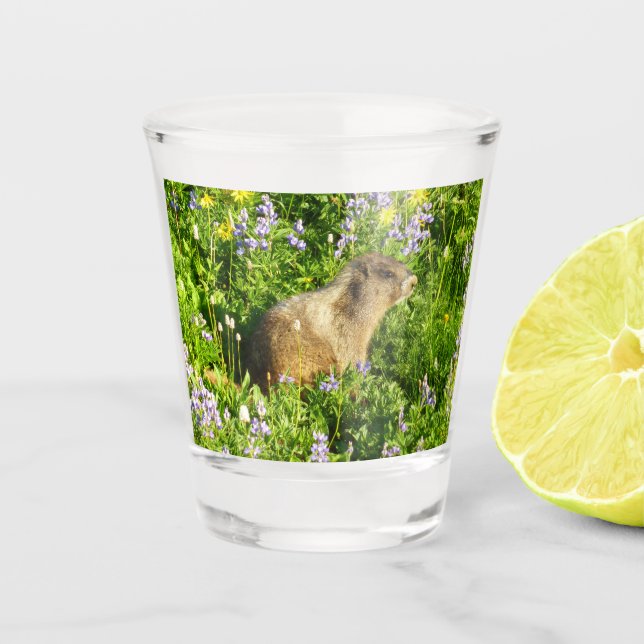Verre A Shot Marmot dans le Mont Rainier Fleurs sauvages (Devant)