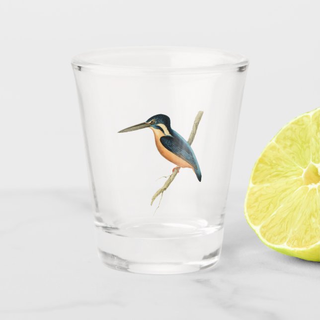 Verre A Shot Martin-pêcheur asiatique (Devant)