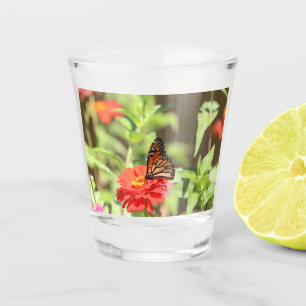 Verre A Shot Monarque d'octobre