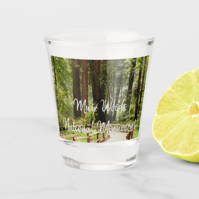 Verre A Shot Muir Woods Chemin I Nature Photographie (Devant)