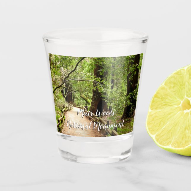 Verre A Shot Muir Woods Path II Nature Photography (Devant)
