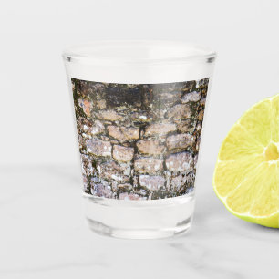 Verre A Shot Mur de ruines mayas