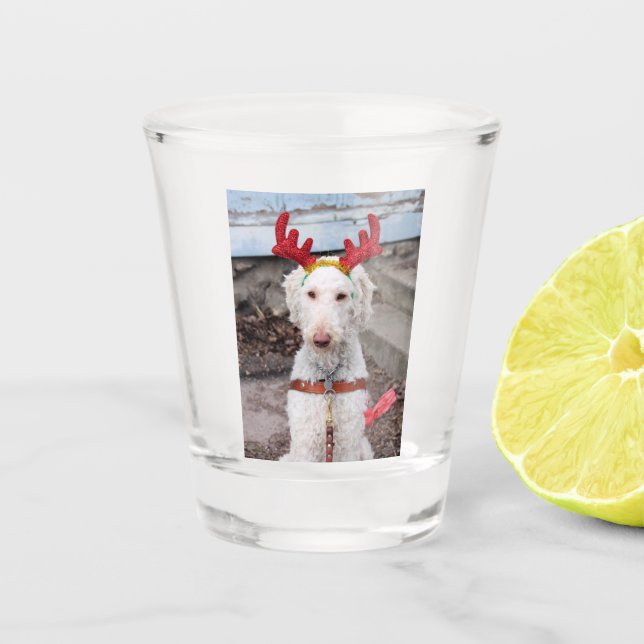 Verre A Shot Noël Ollie (Devant)