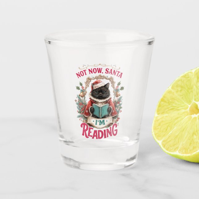 Verre A Shot Not Now Santa I'm Reading  (Devant)