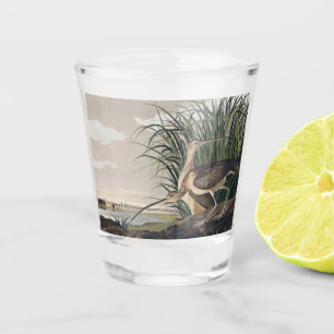 Verre A Shot Œuvre d'art vintage d'Audubon sur la courlis à lon