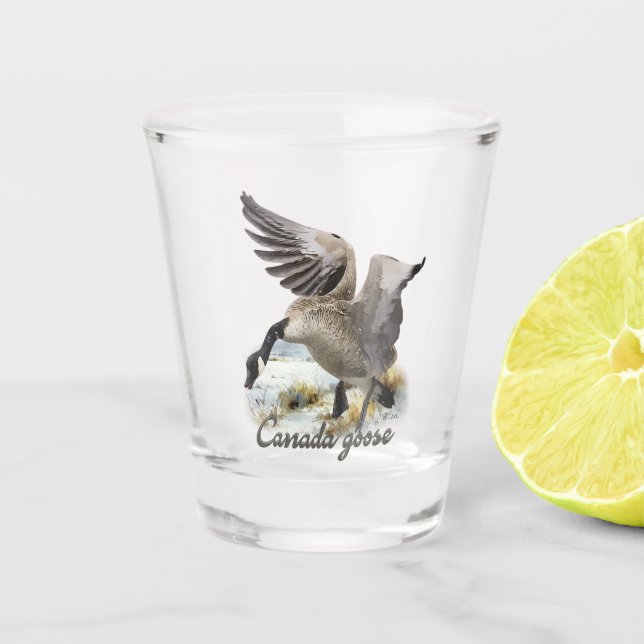 Verre A Shot Oie du Canada, Art (Devant)