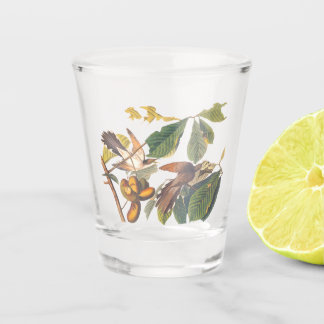 Verre A Shot Oiseaux de cacao à bec jaune Audubon dans un arbre