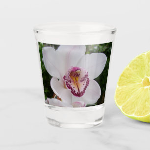 Verre A Shot Orchidée Blanche I Belle Fleur Tropicale