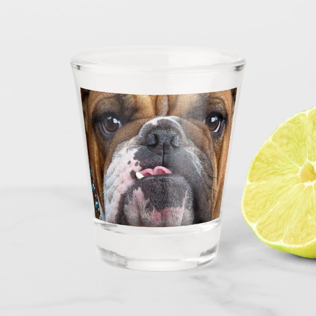 Verre A Shot Oreillers à lancer de Bulldog anglais (Devant)