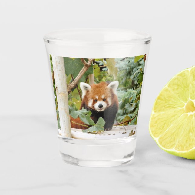 Verre A Shot Panda rouge (Devant)
