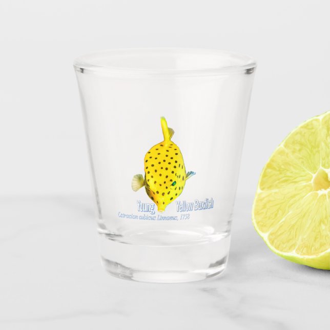 Verre A Shot Poisson jaune (Devant)