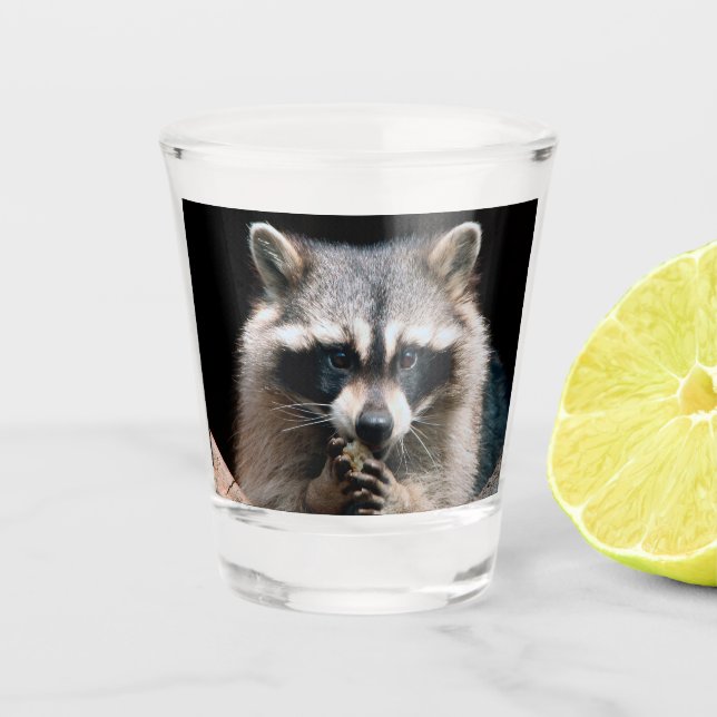 Verre A Shot Raccoon 004 (Devant)