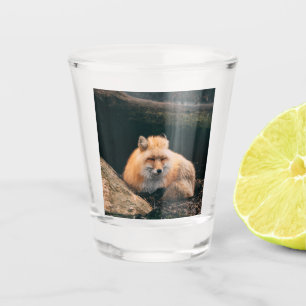 Verre A Shot Red Fox dormant