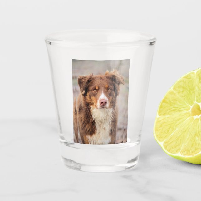 Verre A Shot Rouge (Devant)