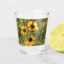 Tournesol
