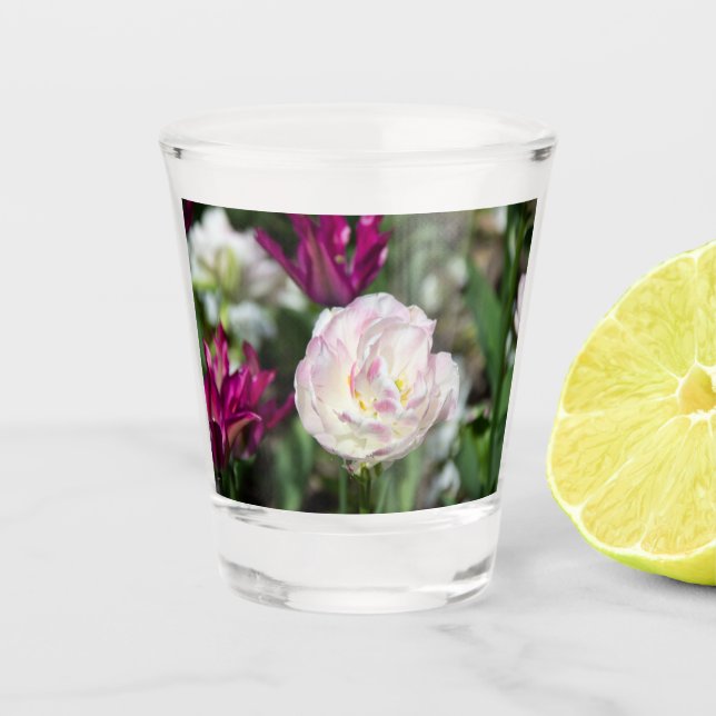 Verre A Shot Tulipes rose vif par jour ensoleillé (Devant)