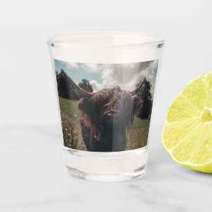 Verre A Shot Vache écossaise de la région montagneuse noire pât