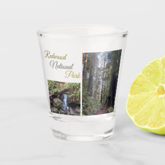 Verre A Shot Verre à shot du parc national de Redwood