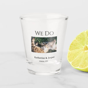 Verre A Shot Vitre