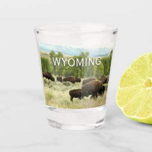 Verre A Shot Wyoming Bison Nature Animal Photographie