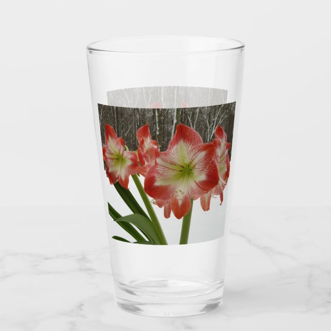 Verre Amaryllis en Fête Rouge Neige Hiver Floral (Devant)