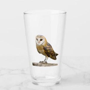 Verre Barn Owl