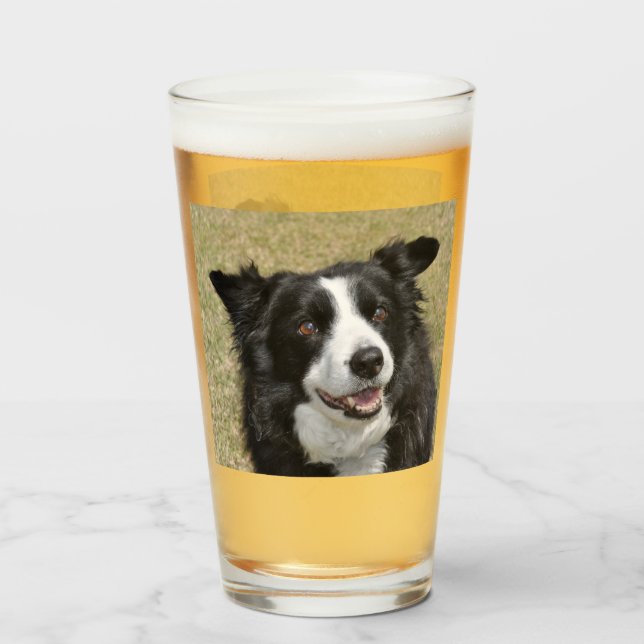 Verre Bordure Collie (Dos (rempli))