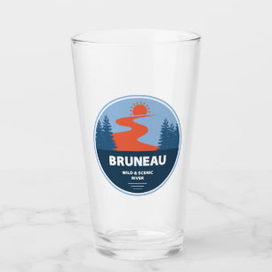Verre Bruneau Wild Et Rivière Pittoresque Idaho