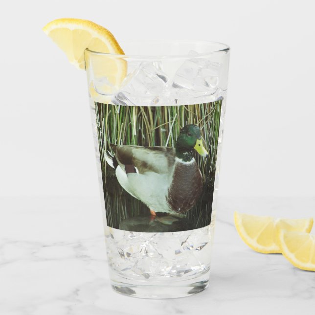 Verre Camion de Mallard Photo Outdoorsman Lake Bird (Devant glace)
