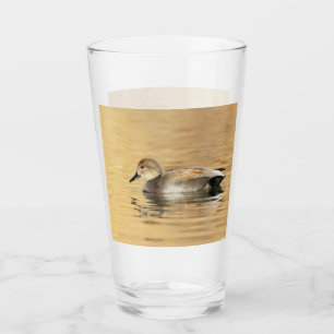 Verre Canard colvert mâle