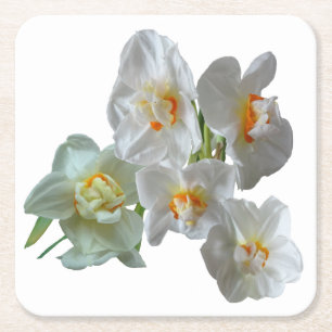Verre Carré Daffodiques de la Couronne de naissance Dessous de