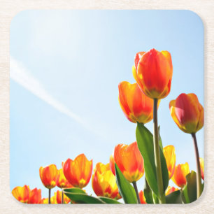 Verre Carré Tulipes oranges et rouges de dessous